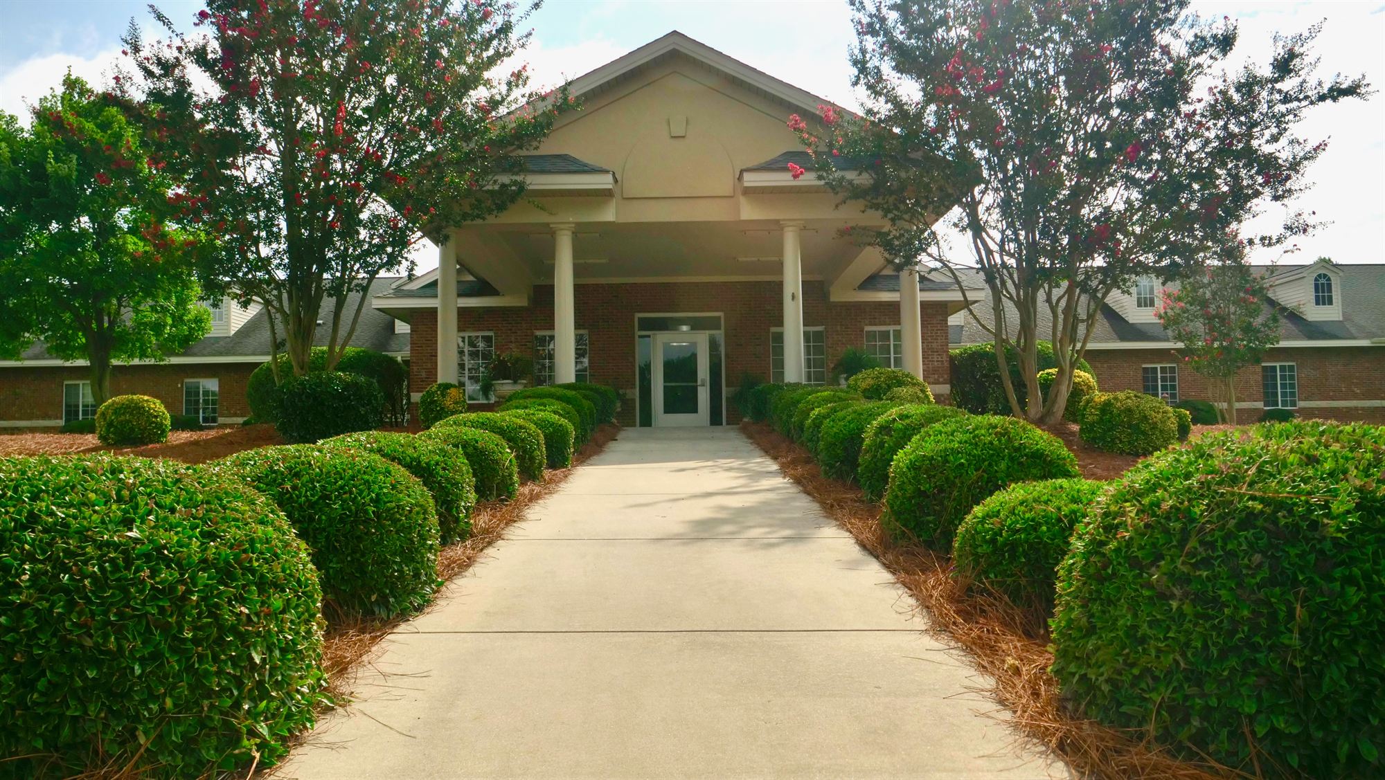 Hedge-lined walkway to the front entrance